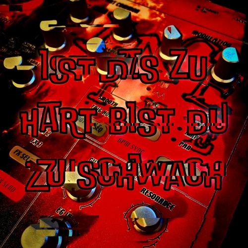 IST_DaS_Zu_HaRT_BiST_Du_zU_ScHwAcH.wav