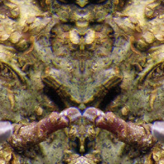 Sinfonie Nr.2 "EGGERT" – Satz Nr.2