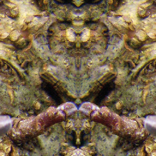 Sinfonie Nr.2 "EGGERT" – Satz Nr.2