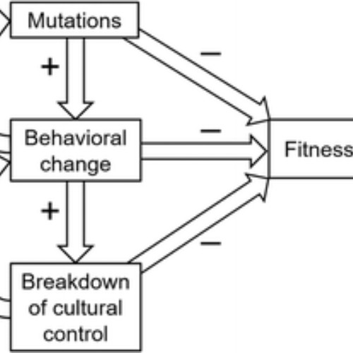 Social Epistasis Amplification Model (S.E.A.M) by Mikey Blayze and Vex Vexer