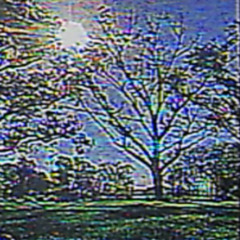 mozart - lagged