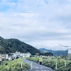 土手沿
