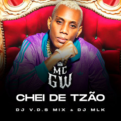 CHEI DE TZÃO (feat. DJ V.D.S Mix & DjMlkOficial)