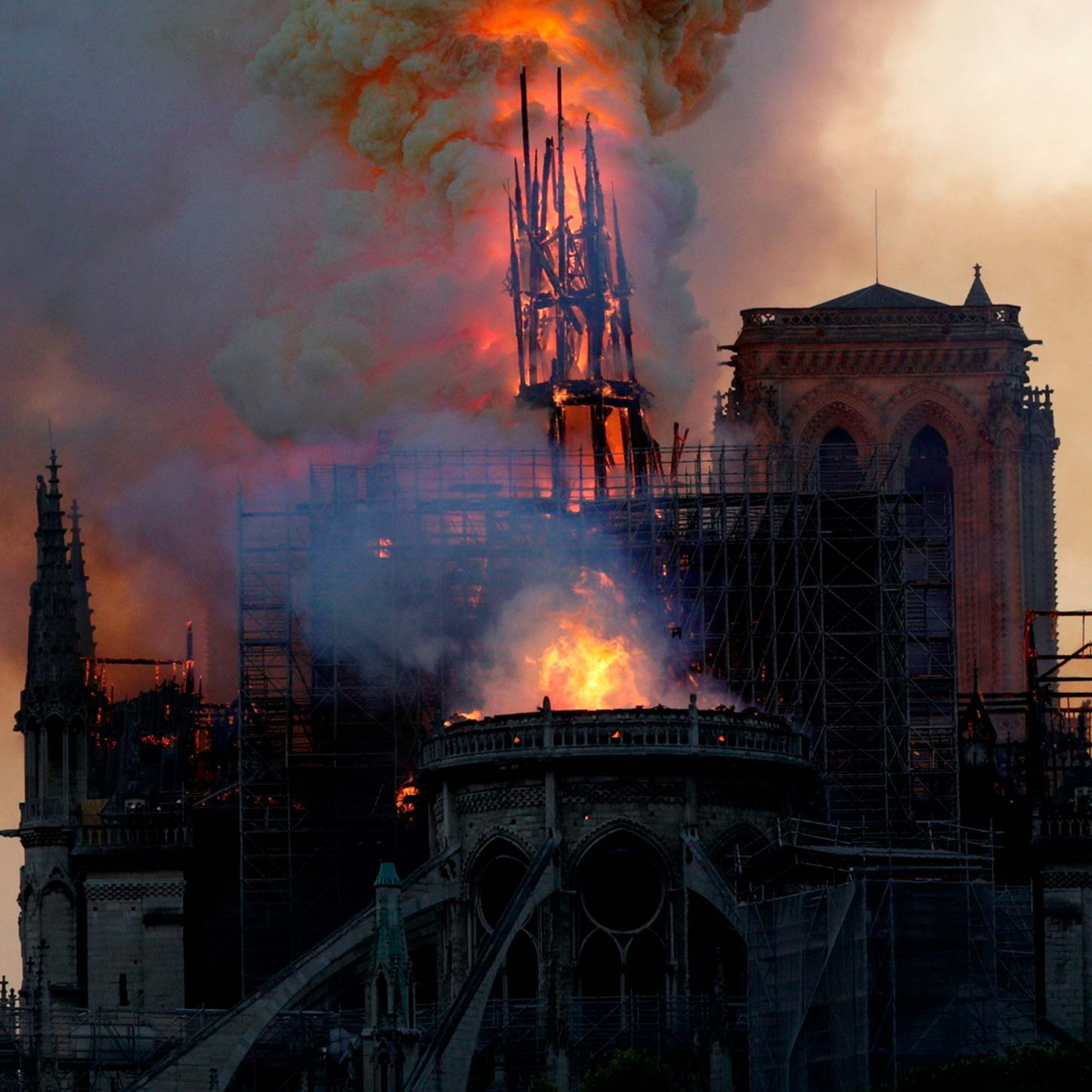 NOTRE DAME episode artwork