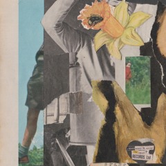 Algorithm Spider's Web