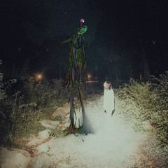 nightosphere