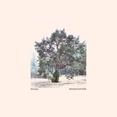 I spoke to the trees