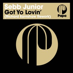 Sebb Junior - Got Yo Lovin' (Richard Earnshaw Rework)