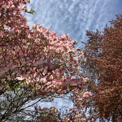 One Middle of the Day