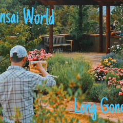 Long Gone - Bonsai World
