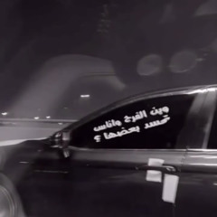 ‎⁨دمرت روحي بغيابك شيبت راسي⁩.mp3