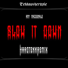 Amy Macdonald - Slow It Down Tekknotherapie Remix