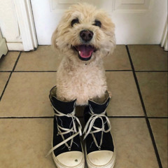 ricks on my feet prod.mirr