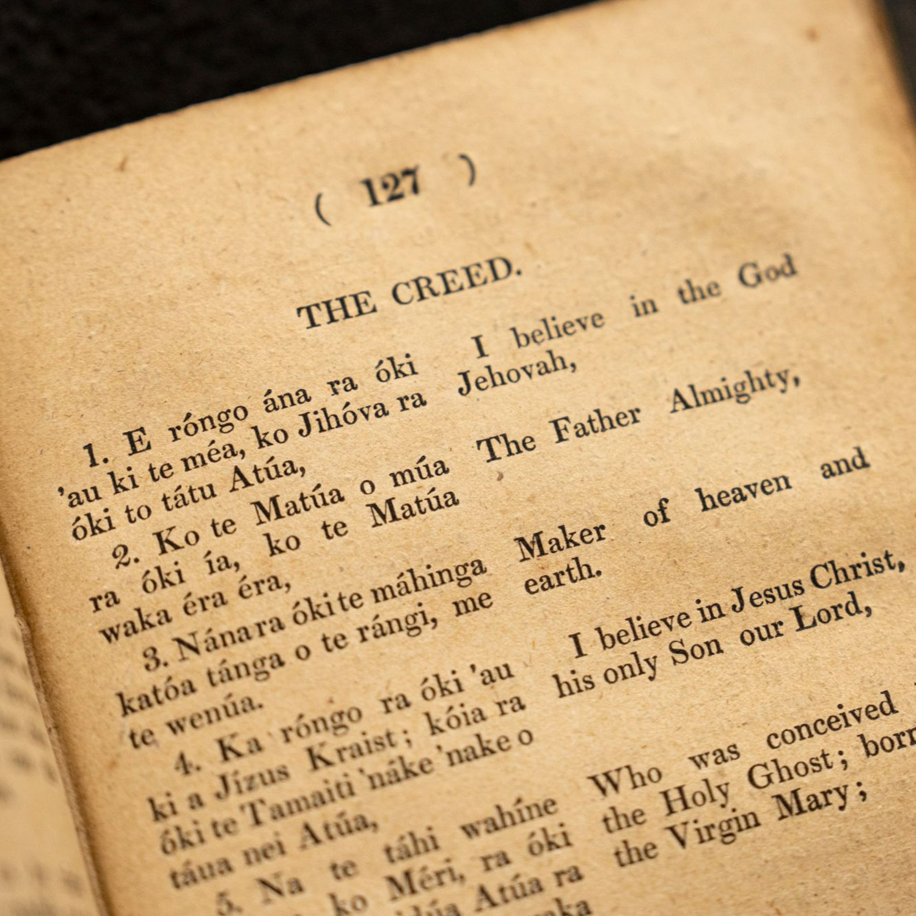 A grammar and vocabulary of the language of New Zealand - The Creed episode artwork