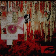 WE FELL IN LOVE IN OCTOBER