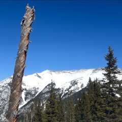 (still needs a name)