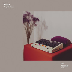 BM008 | Safita - Night Birds [Bar Melodia]