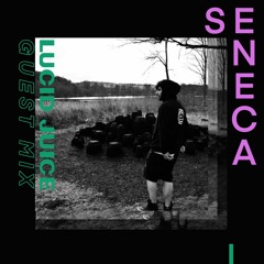 Guest Mix 002 - Seneca