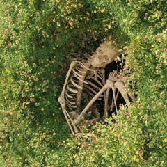 мартин - целый мир (live)