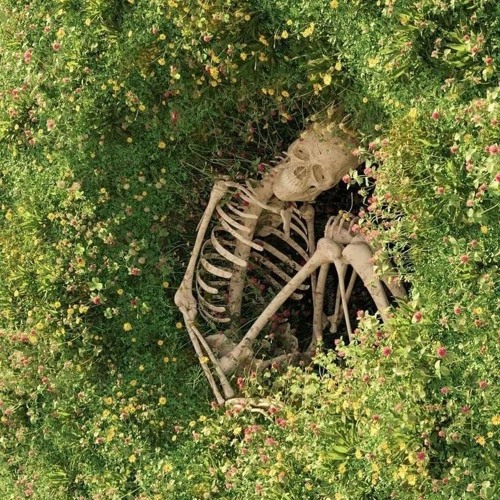 мартин - целый мир (live)