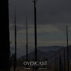 Overcast (a mantra for reflection)