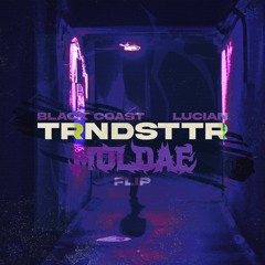 TRNDSTTR (Moldae Flip)