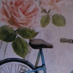 BICYCLE AND FLOWERS