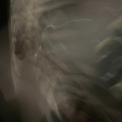 stag