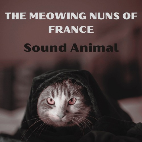 The Meowing Nuns Of France
