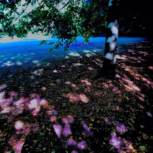 Ultra vivid dream