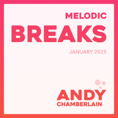 Melodic Breaks Mix - January 2025