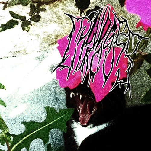 STRANGLED BY YOUR OWN INTESTINES