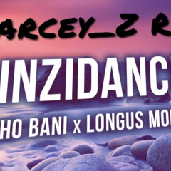 Inzidance [Funtrack]