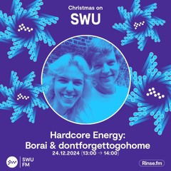 Hardcore Energy: Borai b2b dontforgettogohome - 24 December 2024