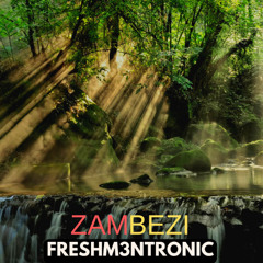 Zambezi (Original Mix)