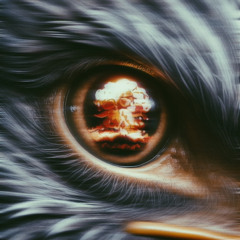 Eagle NYC | January 22, 2025