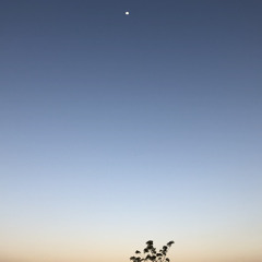 Quando Fui Chuva / Maria Gadú ~ David & Dè (Estúdio 500)