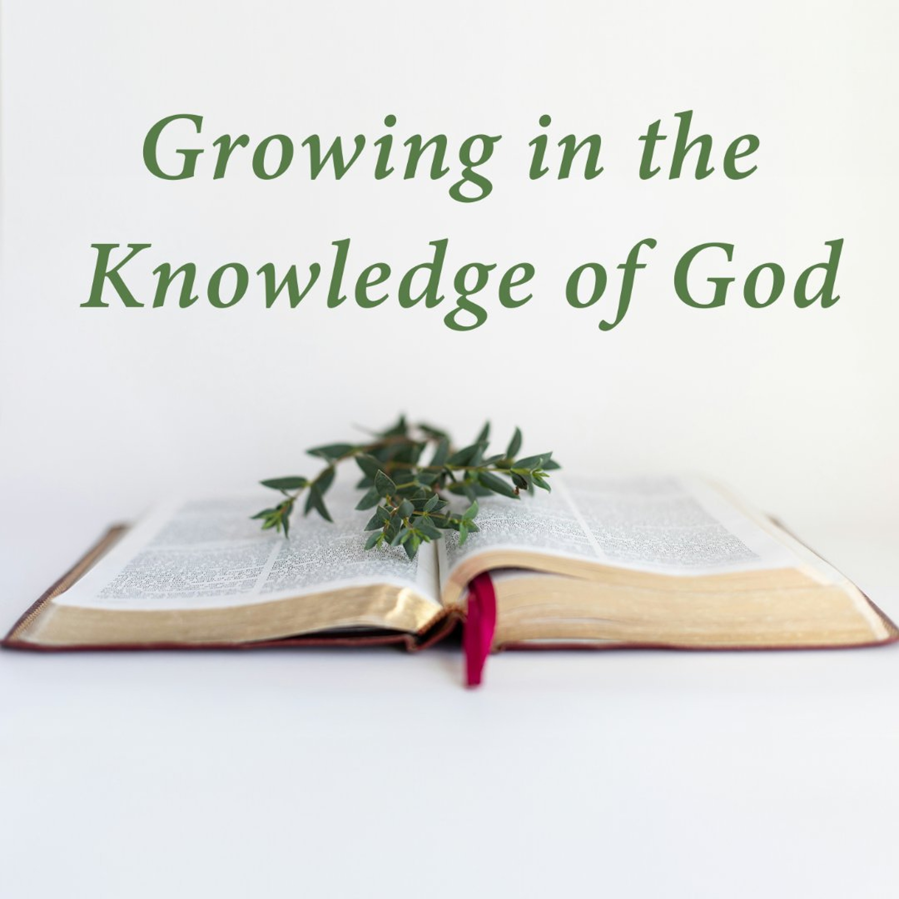 Growing in the Knowledge of God - Part 1 episode artwork