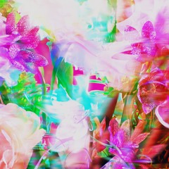 Shyntwirl - Pollination