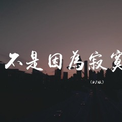 何鹏,林霞 - 不是因为寂寞才想你 (DJ版)【動態歌詞/pīn yīn gē cí】