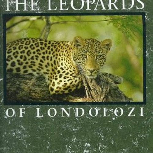 Access KINDLE PDF EBOOK EPUB The Leopards of Londolozi by  Lex Hes 📭