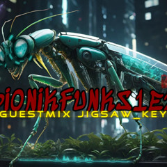 BIONIKFUNK S1E2 GUESTMIX jigsaw key [cybernetic Neurofunk & futuristic Techstep ]