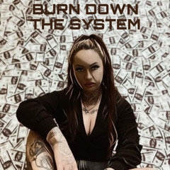 Burn Down The System (Radio edit)