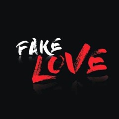 Na Briscoe Ft B Dollaz - Fake Love