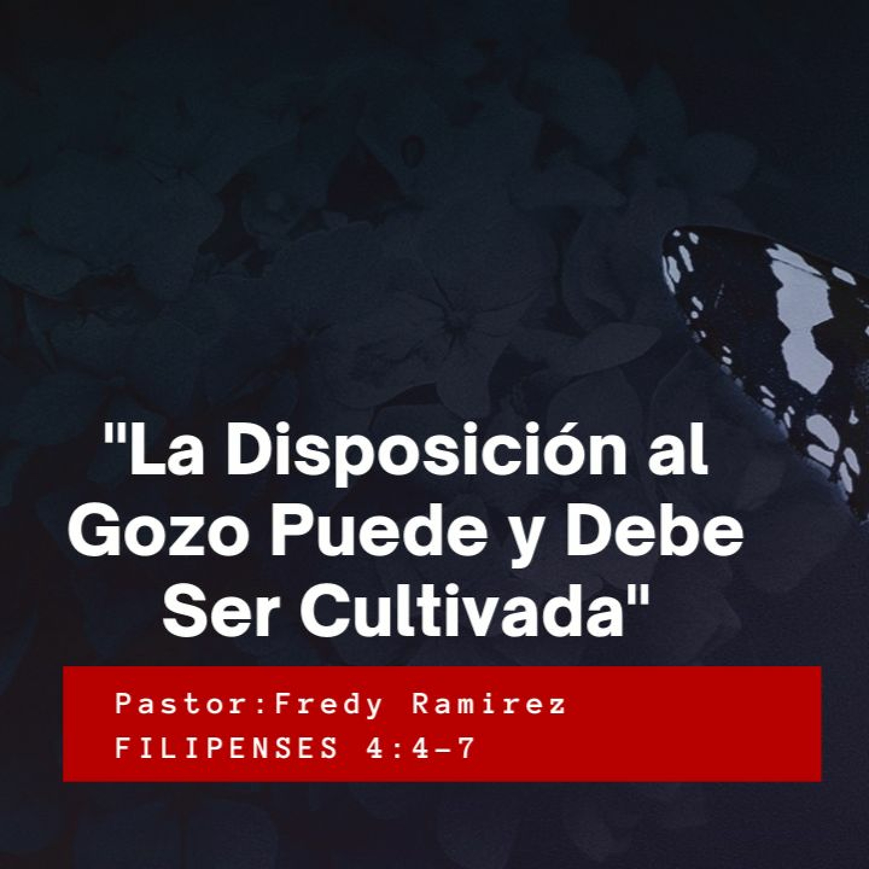 Iglesia Cristiana Biblica Raah