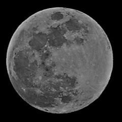 The Rabbit On The Moon