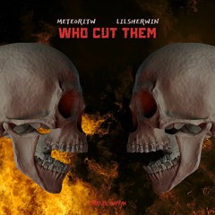 WHO CUT THEM (ft. LIL SHERWIN)