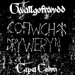 Capel Celyn