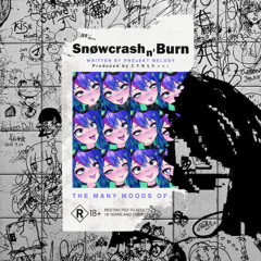 SNØWCR4SH N' BURN