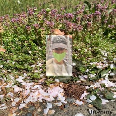 Ur slit (pr. marblestatue)